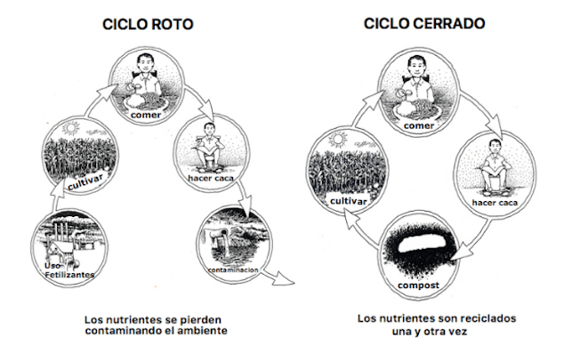Ciclo de los nutrientes