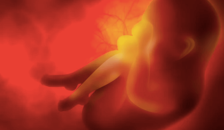 El cambio parte por casa