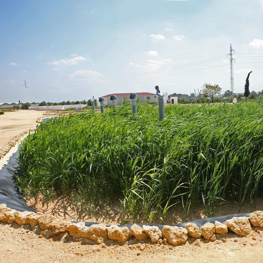 Humedales Artificiales